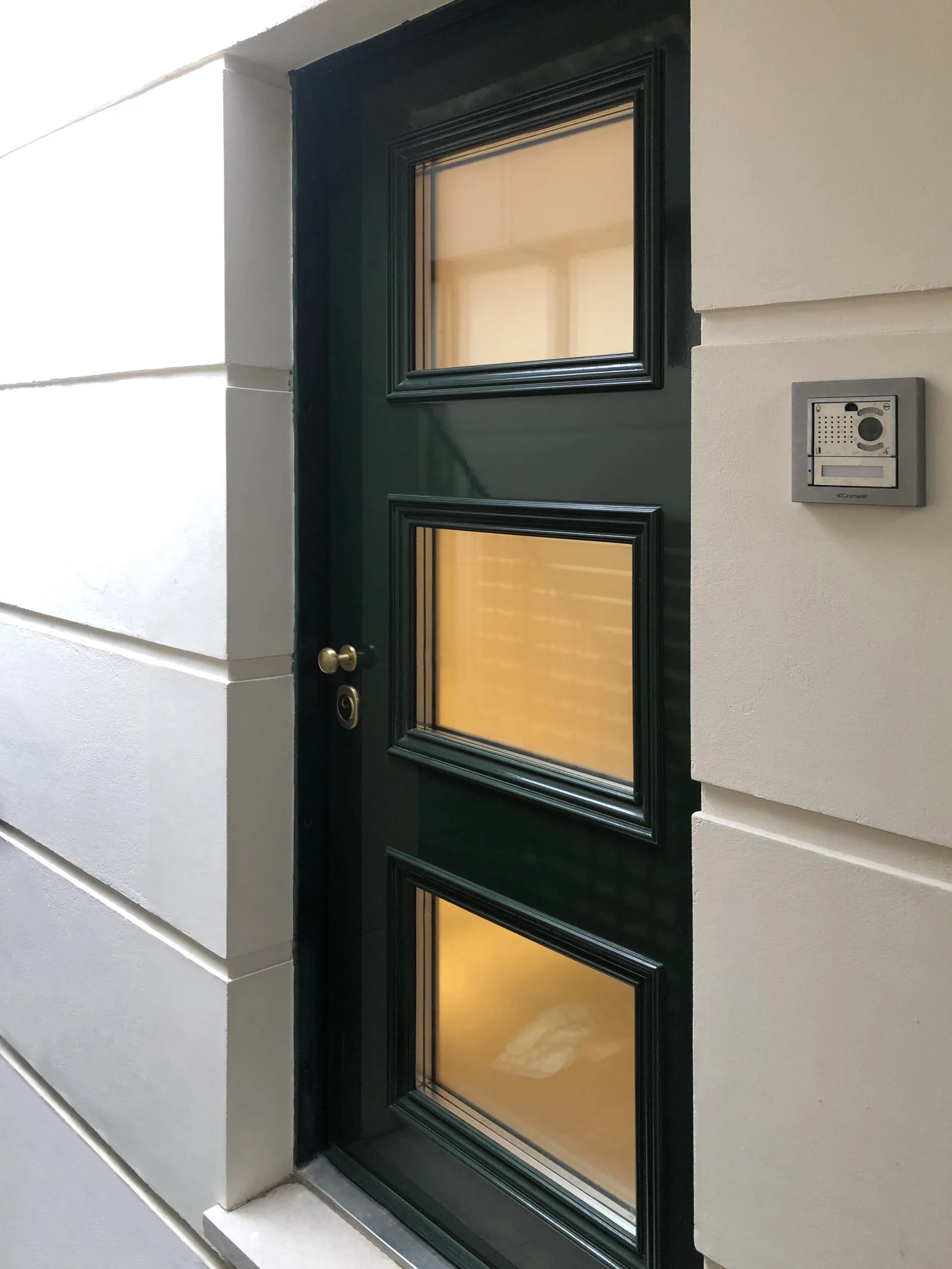 narrow-black-high-security-doors-with-glass